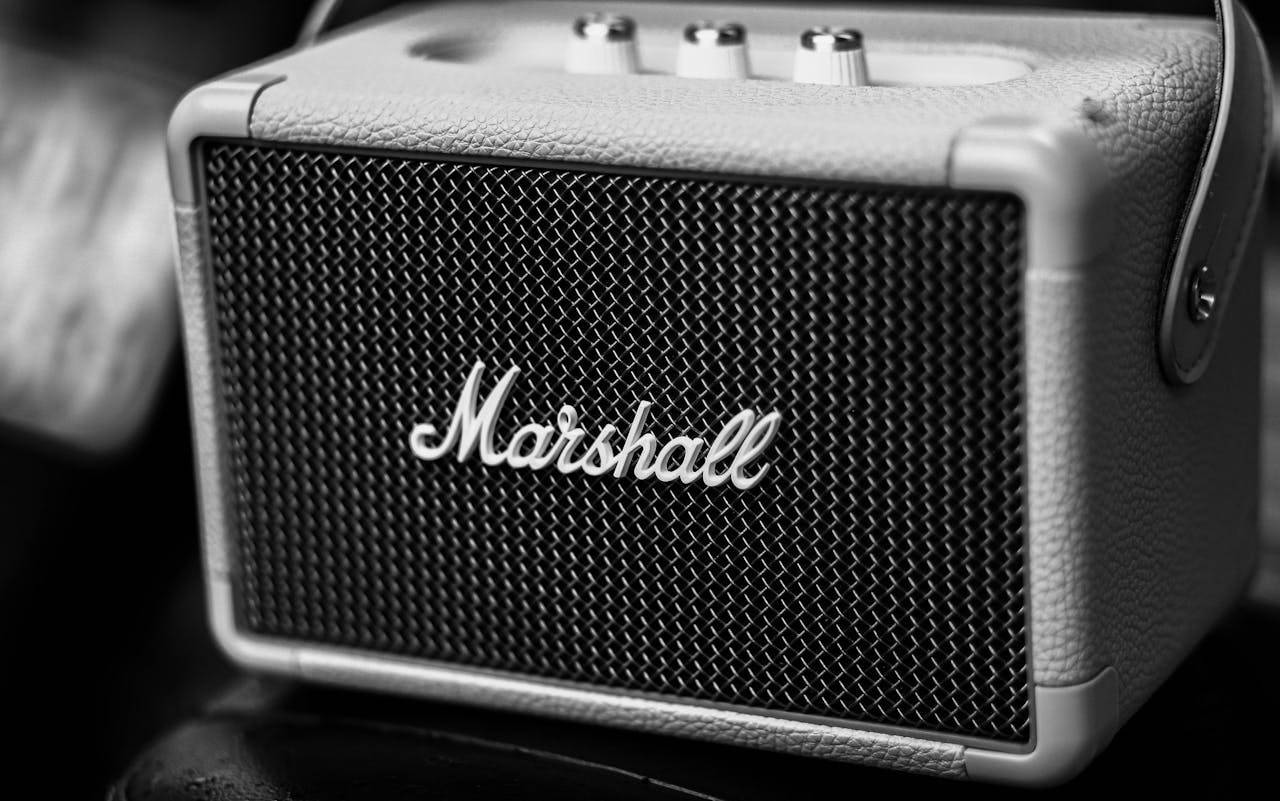 Detailed close-up of a classic Marshall speaker in black and white.